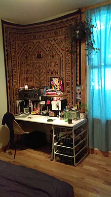 Rented by The Hamilton Group | media 13