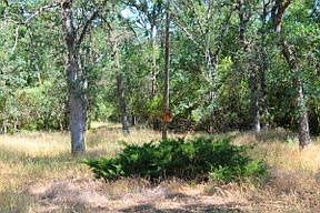 3rd image of 6384 Lardanel Ln