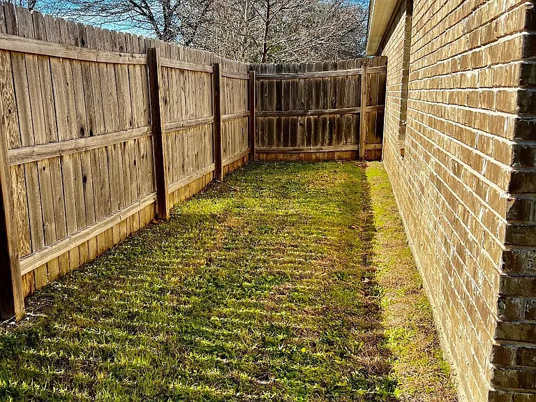 BACK YARD