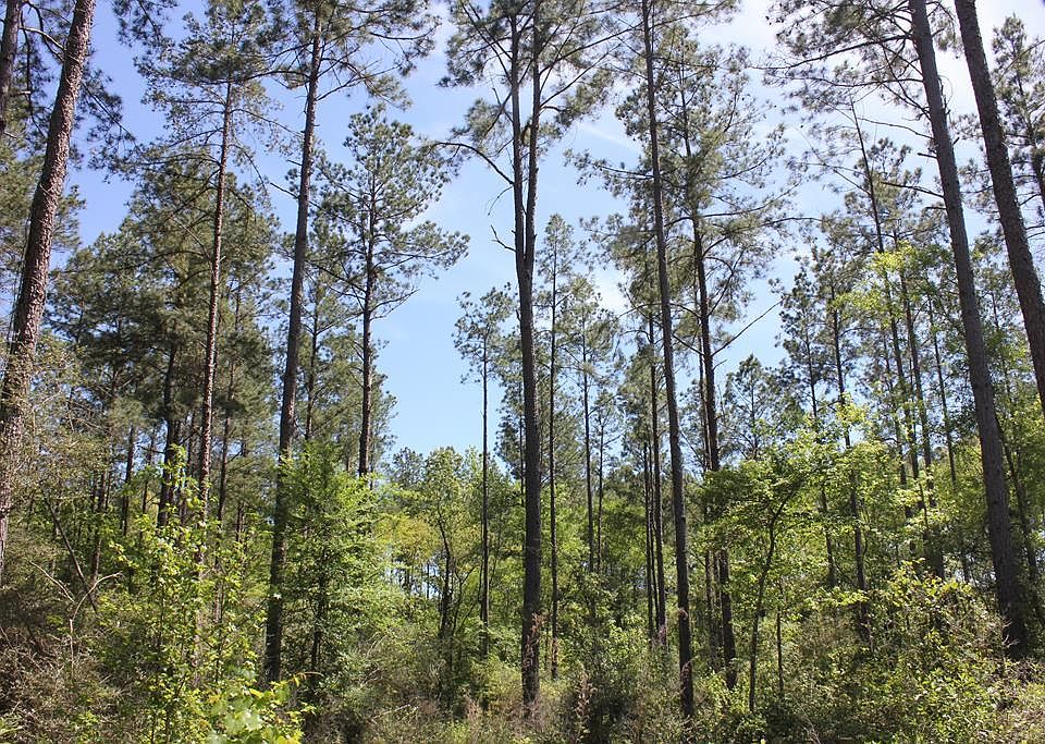 1st image of Pid 36982 Hwy #103W