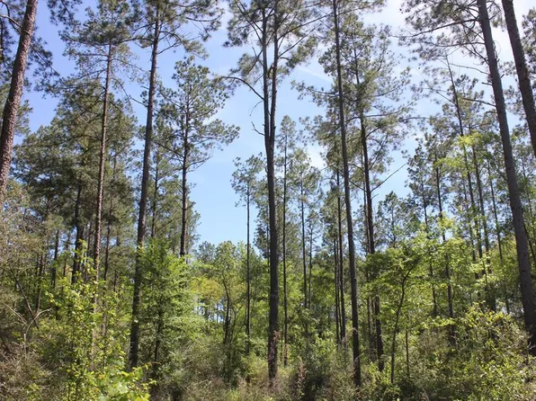 Pid 36982 Hwy #103W, Lufkin, TX 75904