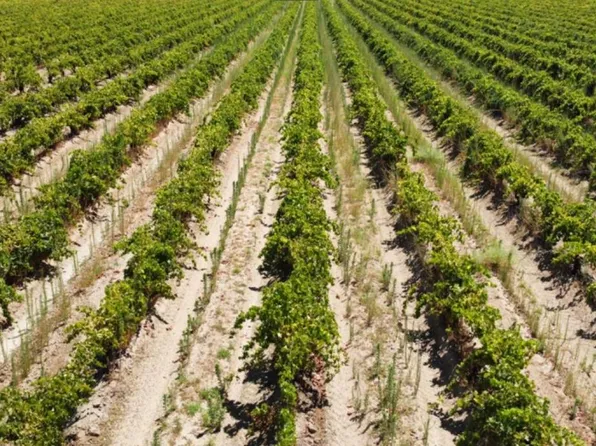 3 N Siskiyou Ave, Kerman, CA 93630