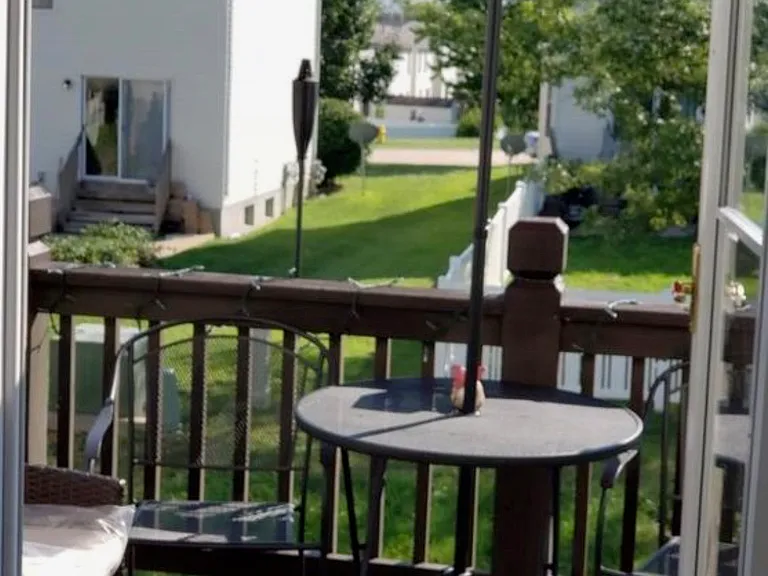 153 Mitchum Dr — Photo 11