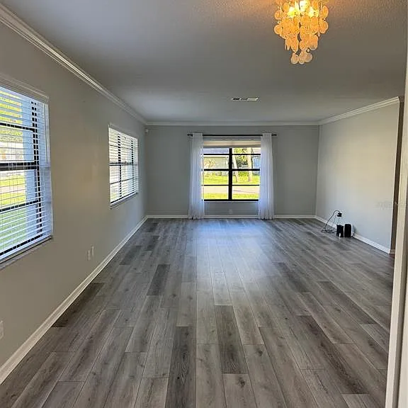 16 Courtney Pl — Photo 11