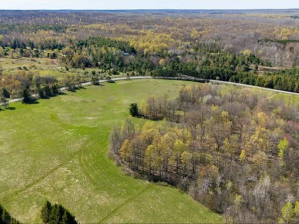 V/l W Curtisville Rd, South Branch, MI 48761