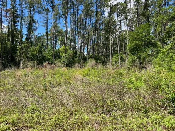 9976 N Athenia Dr Lot 6, Dunnellon, FL 34434