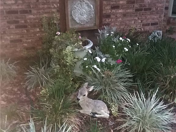 4th image of 5804 Roble Loma Dr