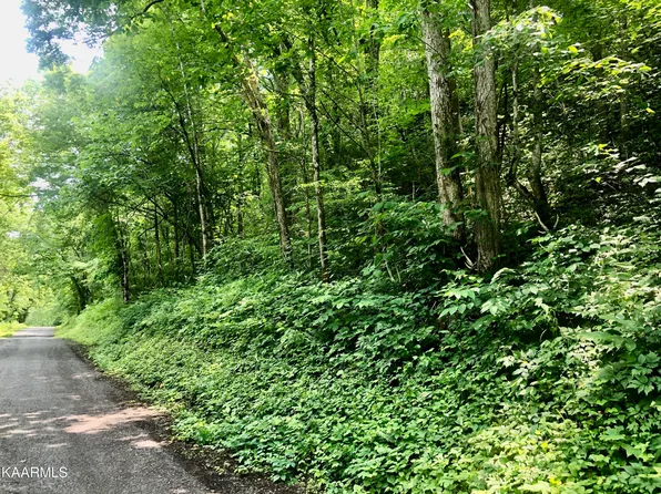 Pawpaw Rd, Thorn Hill, TN 37881