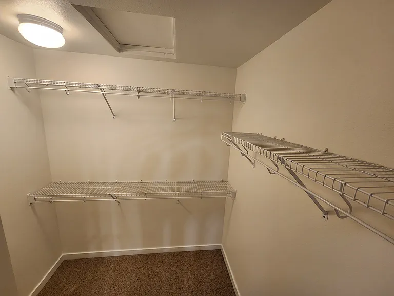 Walk In Closet (Master)