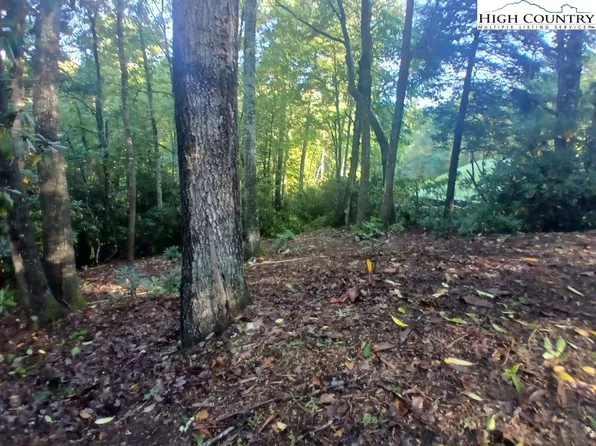 59 Woodpecker Lane, Newland, NC 28657