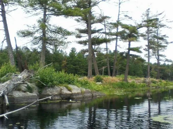 Island In Grass #5, Theresa, NY 13691