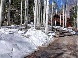 591 Crest Drive, Cimarron, CO 81220