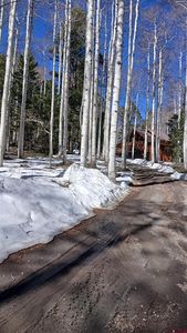 591 Crest Drive, Cimarron, CO, 81220