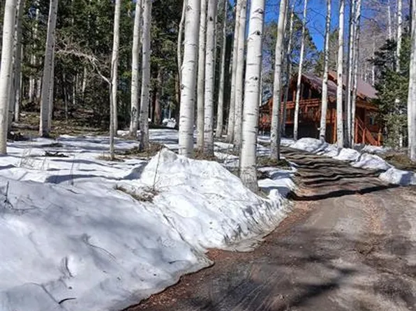 591 Crest Drive, Cimarron, CO 81220