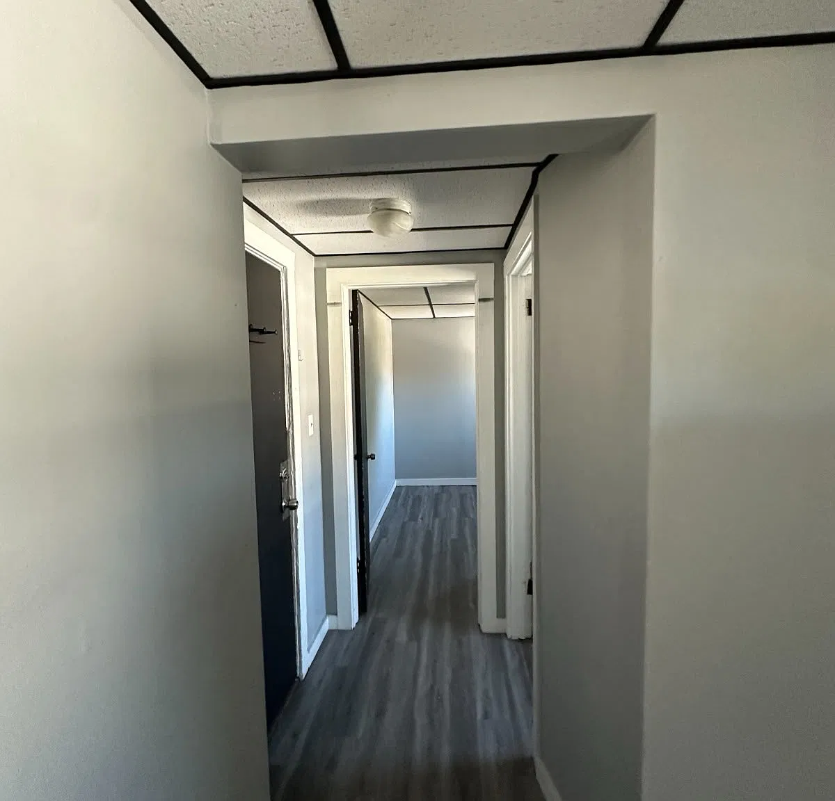 1 bed, $1,200 — Photo 3