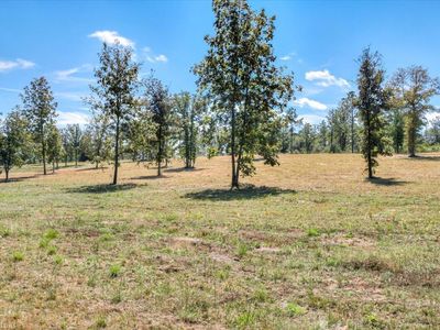1336 Hatchaway Bridge Rd, Aiken, SC, 29801