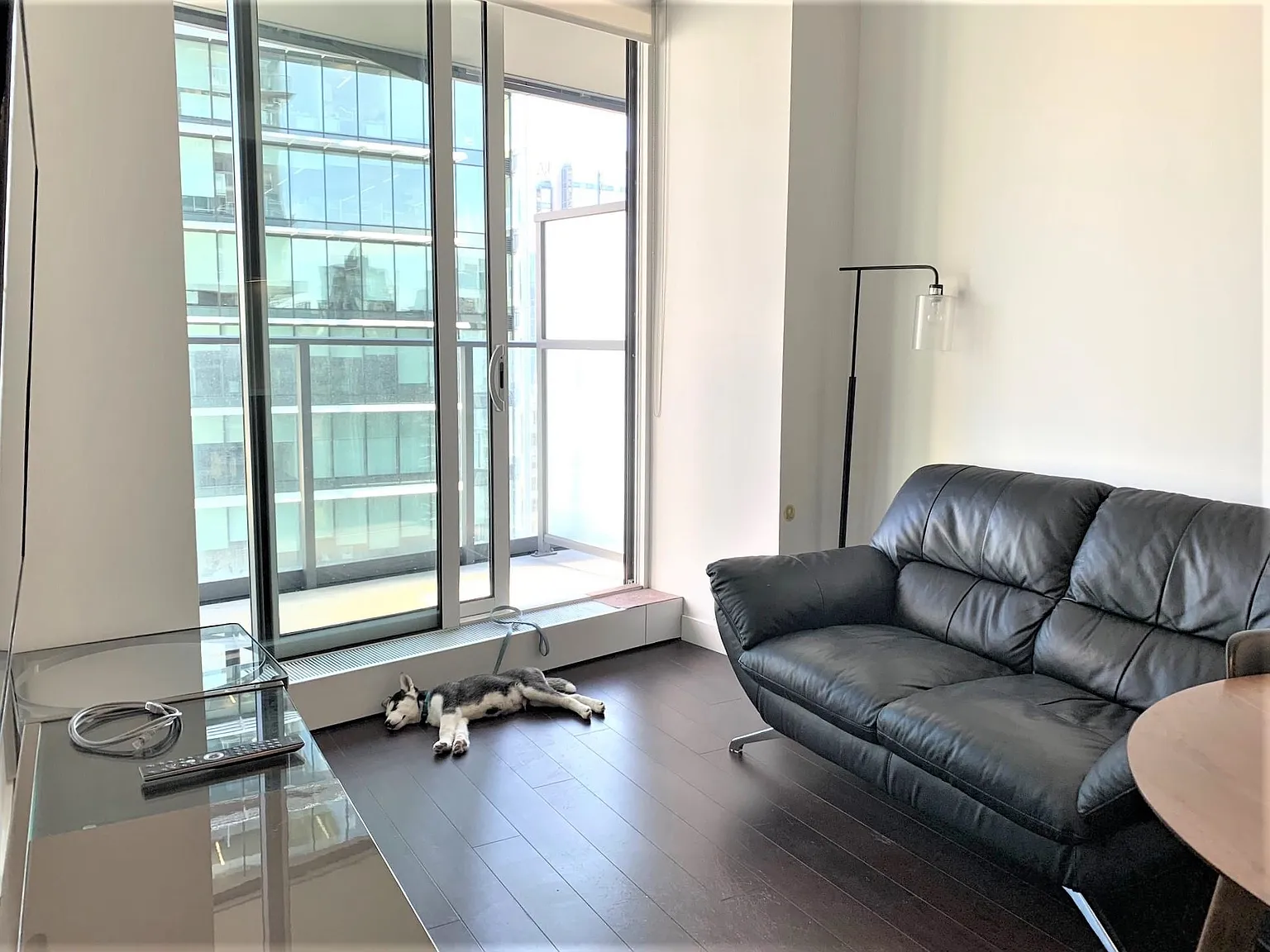1 bed, 504 sqft, $2,890 — Photo 2