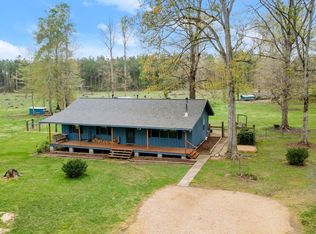 10093 Lathers Ln, Slaughter, LA 70777