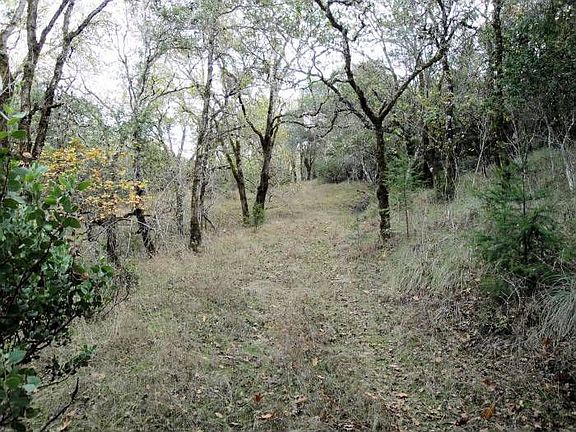 5th image of 550 Breezewood Dr
