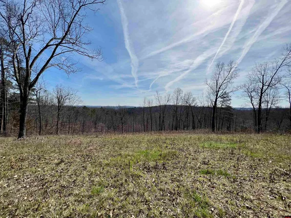 4 Ramblewood Trl, Yellville, AR 72687