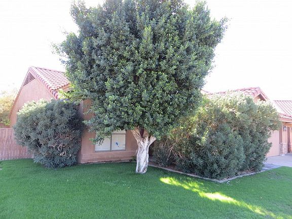 5th image of 6327 E Paradise Ln