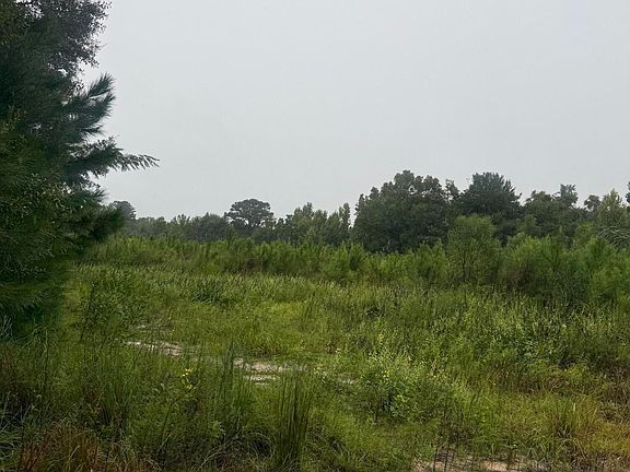 5th image of 1950 Grady Baggett Rd