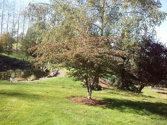 5th image of 19206 NE 205th Ct