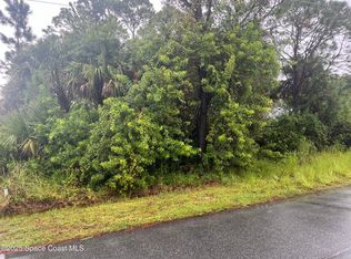 149 Feldman St SE, Palm Bay, FL 32909