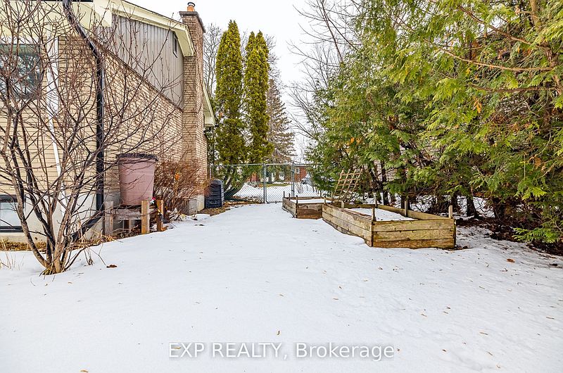 Ottawa House for rent - 3 Bedrooms — photo 38