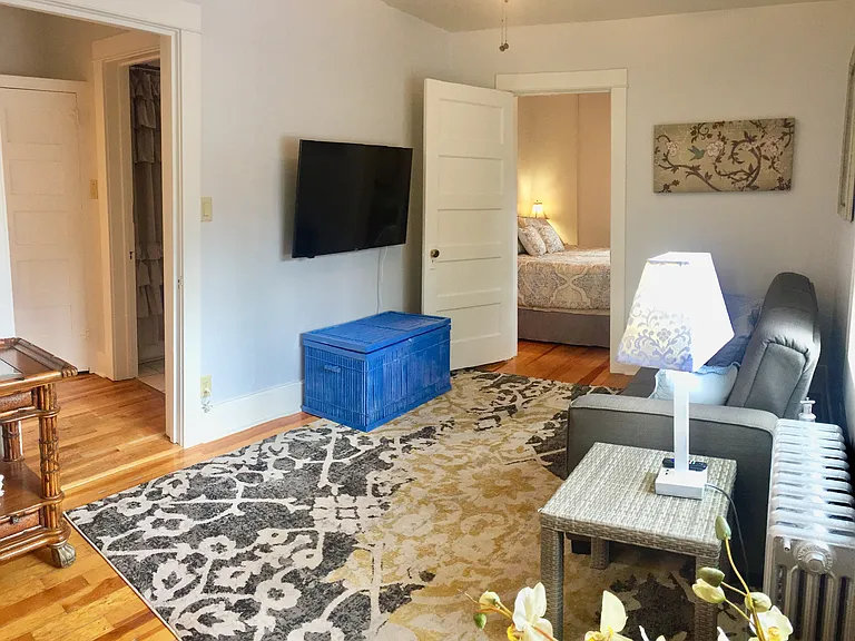 Living room, ceiling fan, Flat screen TV and all furnishings