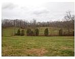 3rd image of 111 Flat Creek Point Ln