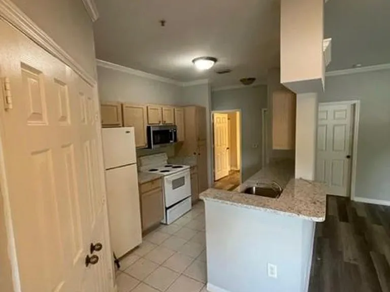 7800 Point Meadows Dr #411 — Photo 6