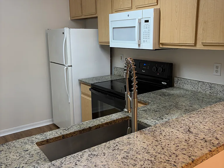 10855 Windsor Walk Dr #5209 — Photo 3