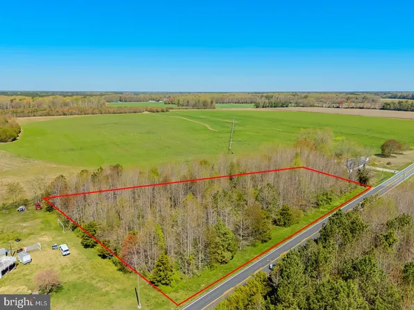 E Trap Pond Rd, Georgetown, DE 19947