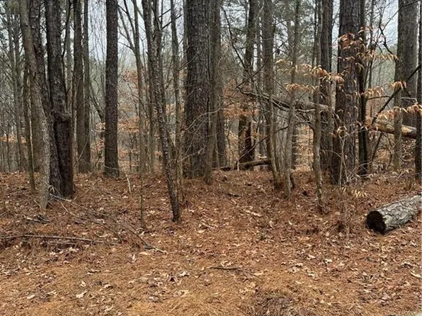 LOT 3 Lake Esther Dr, Fairburn, GA 30213