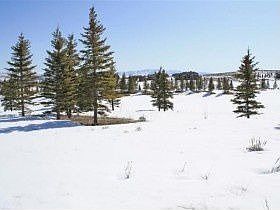 2nd image of 7208 Lupine Dr
