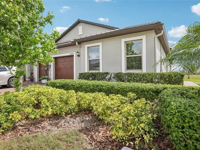 10420 Echo Dock Loop, San Antonio, FL, 33576