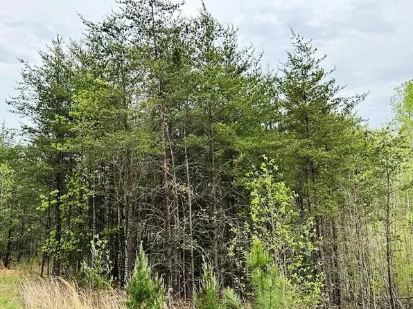 0 Whispering Pines Rd, Axton, VA 24054