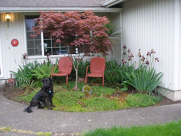 Moto +front flower bed