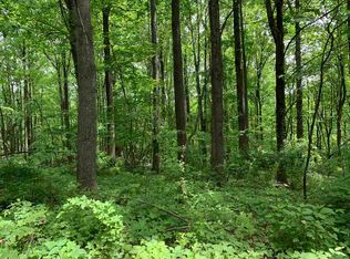 597 Leathers Ln, Etlan, VA 22719