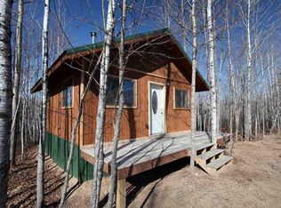 8751 W Bear Island Lake Rd, Babbitt, MN 55706