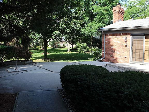 Back yard