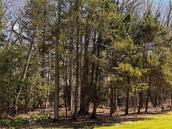 4th image of 4 Lake Rd