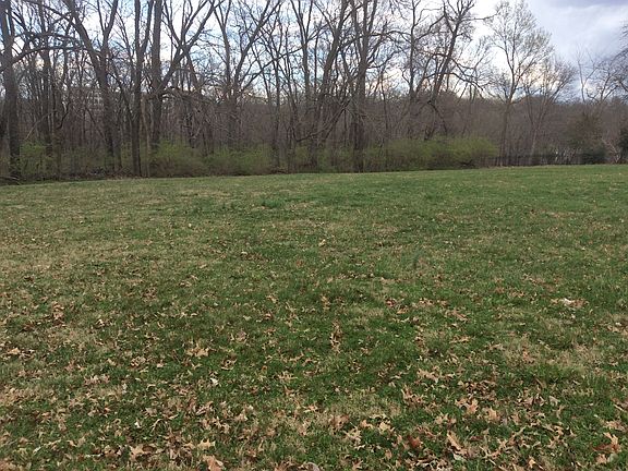 Back yard to tree line