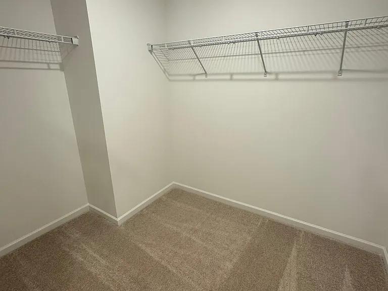 461 Madison Lakeview Dr — Photo 19