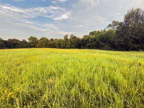 3rd image of 8 Wilson Rd