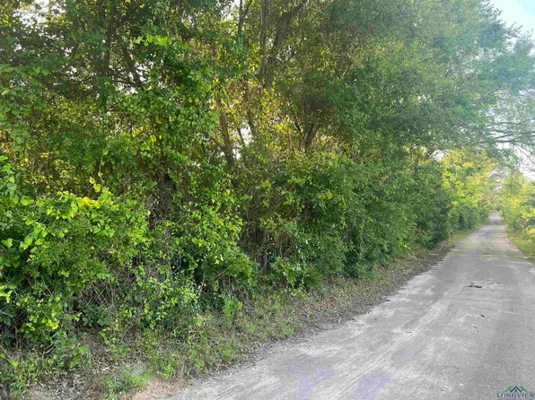 County Road 476 S #&-4201, Henderson, TX 75654