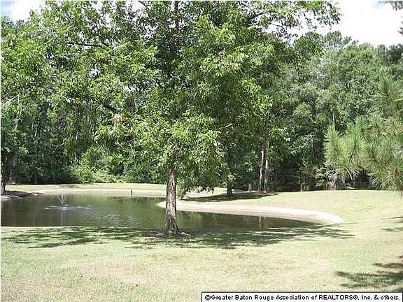 5th image of 14811 E Beaver Dr