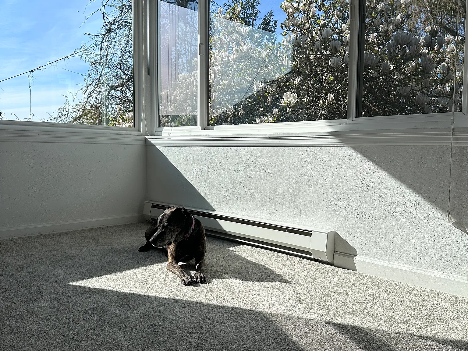 2 bed, 850 sqft, $2,200 — Photo 3