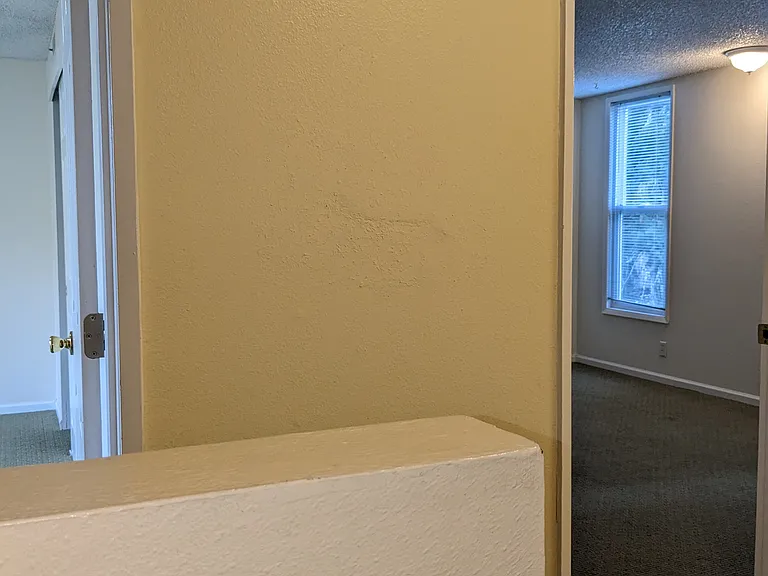 3310 Olive St #3310 — Photo 13